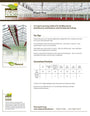 PLANT PRO POTTING SOIL