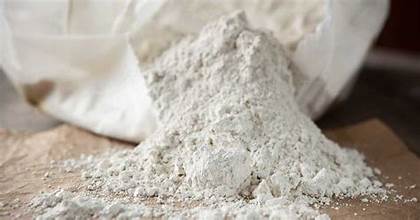 DIATOMACEOUS EARTH OMRI listed