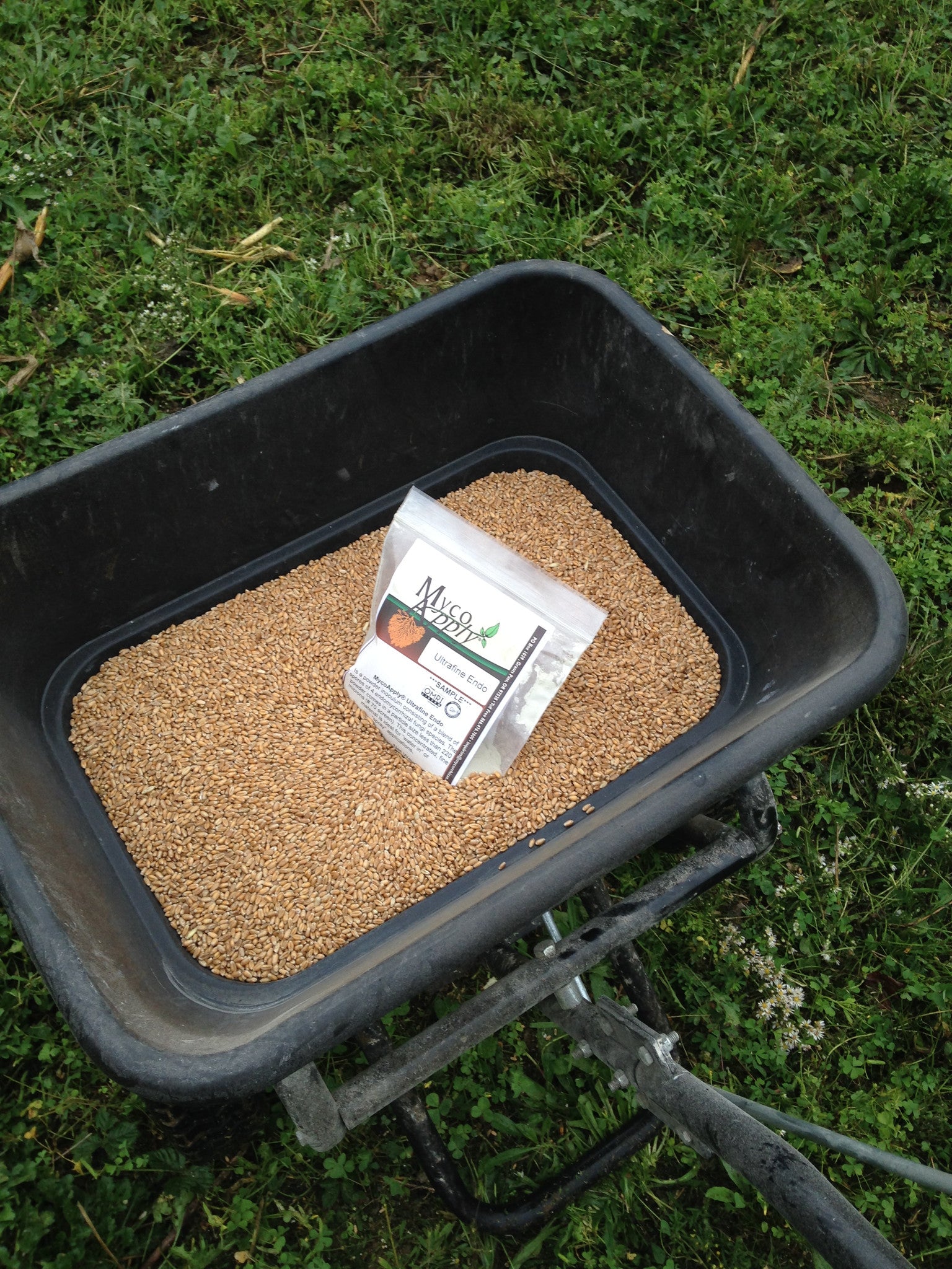 MycoApply Ultrafine Endo OMRI Listed 20# bag